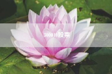 300010股票_天津市河北区金田公寓邮编？