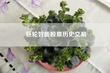 巨轮智能股票历史交易~~巨轮智能股票为何一直下跌？