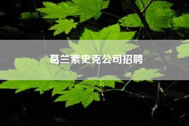 葛兰素史克公司招聘？gsk是什么公司？