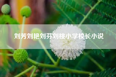 刘芳刘艳刘芬刘桃小学校长小说,谁是刘芳？