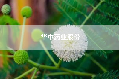 华中药业股份？华中药业股份有限公司怎么样？