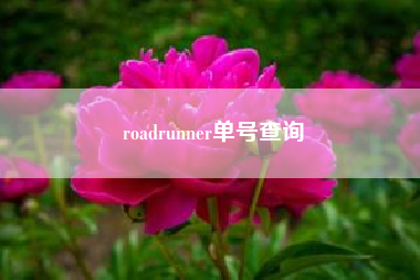 roadrunner单号查询?bb鸟的动画原型