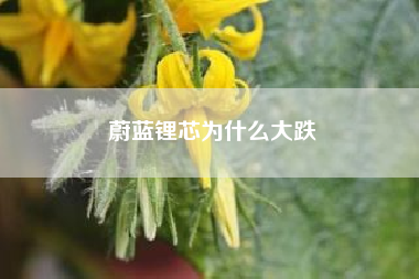 蔚蓝锂芯为什么大跌——蔚蓝锂芯属于半导体吗？