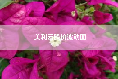 美利云股价波动图(美利云股票代码)