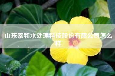 山东泰和水处理科技股份有限公司怎么样—谁能介绍一下山东省泰和水处理有限公司的产品啊