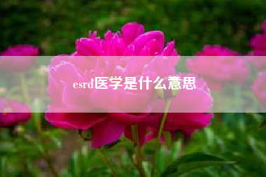 esrd医学是什么意思--尿毒症是什么病？