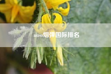 nuso烟弹国际排名,柏菲精选1 强烈推荐的歌，求百度网盘下载资源？