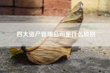 四大资产管理公司是什么级别（四大amc是什么）